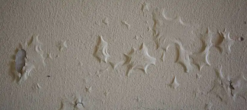 paint bubbling on plaster walls